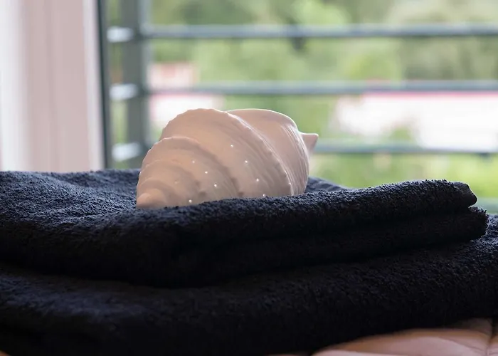 Sophia Mountain فيلة